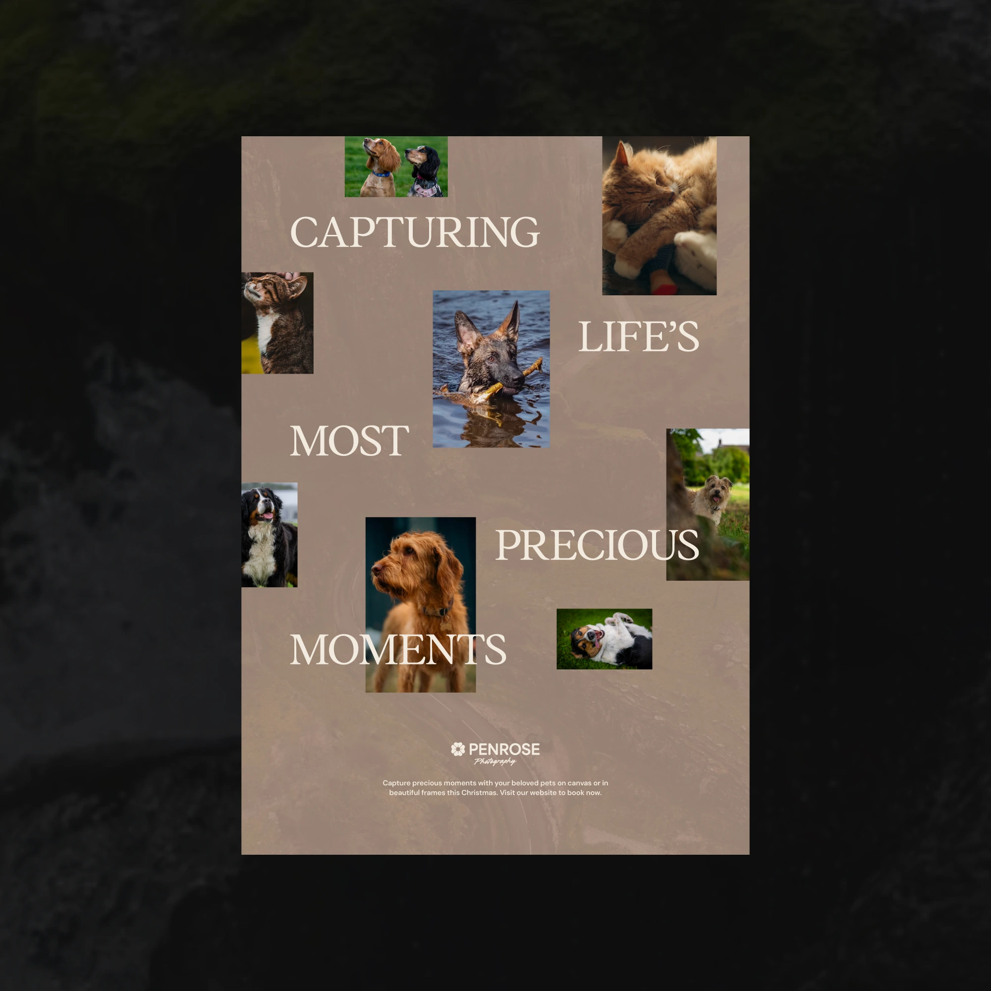 Creative poster and flyer print design for a photographer