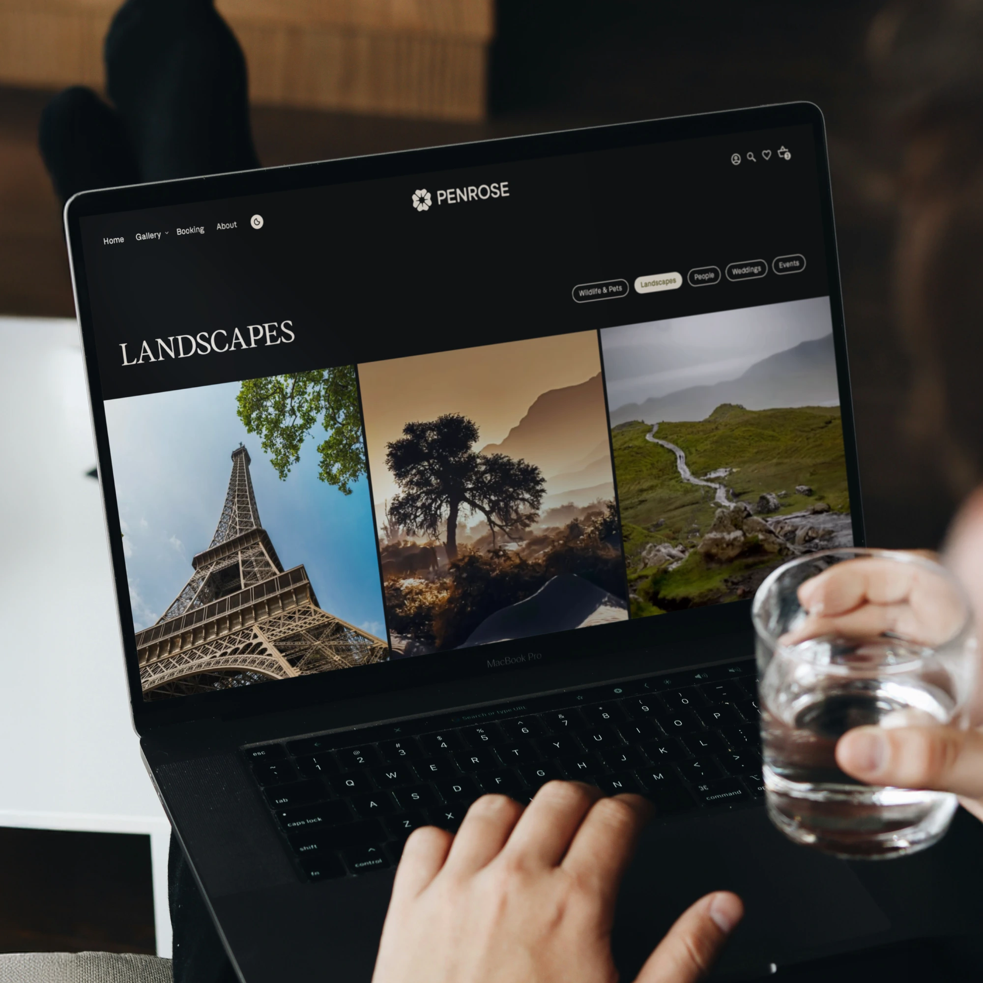 Website UI design for a pet and wildlife photographer