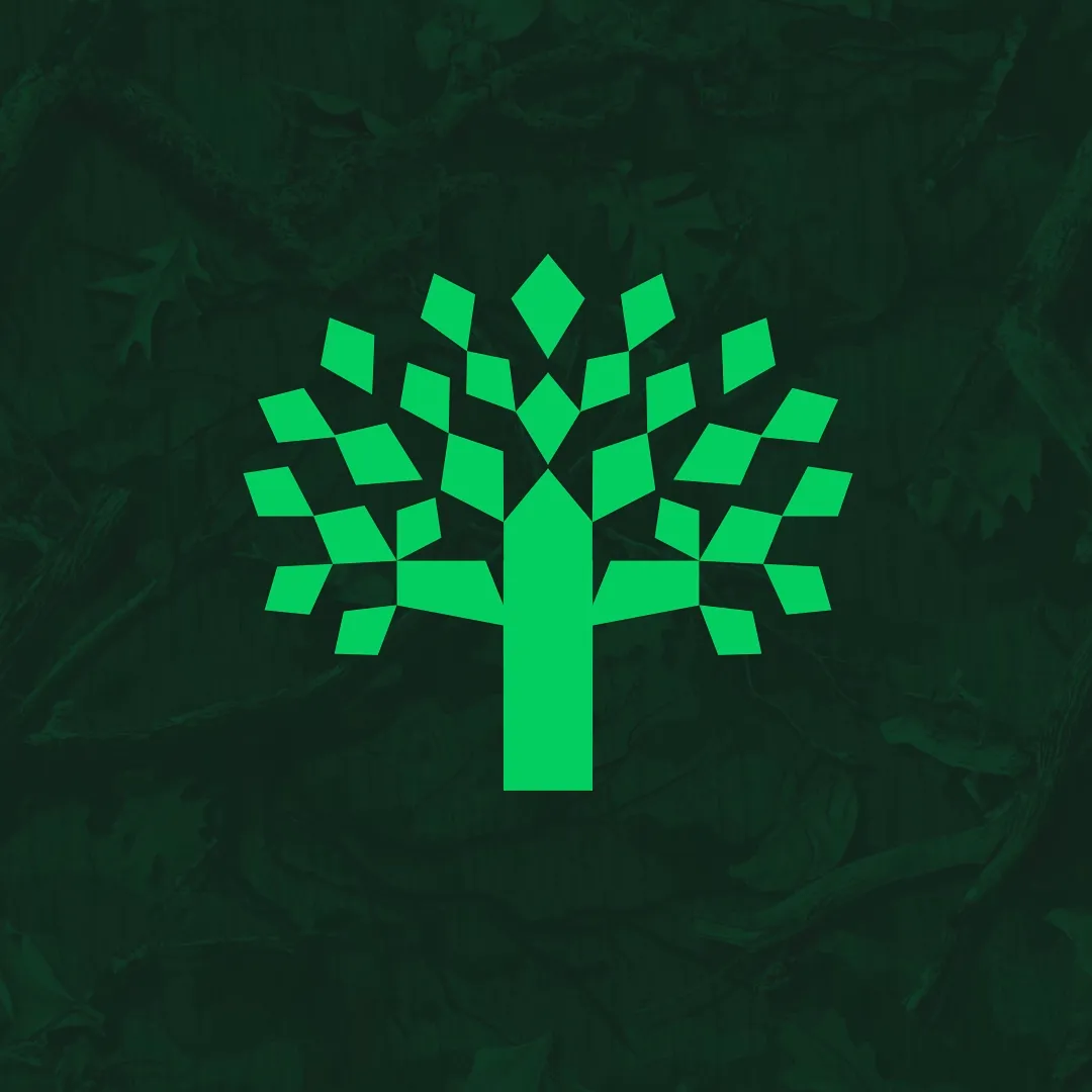 Logo design, branding and animation for a Guernsey-based tree surgeon